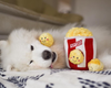 LE BUCKET DE POPCORN