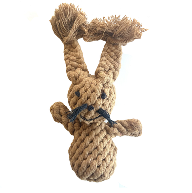 EDOUARD LE LAPIN